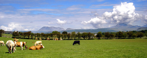 Shiskine Valley, Isle of Arran