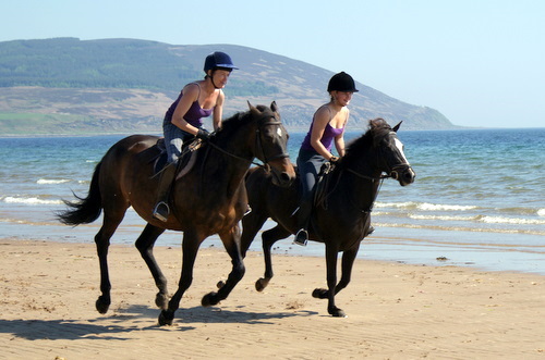 Cairnhouse Riding Centre, Blackwtarefoot, Isle of Arran