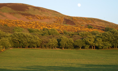 View from Hill View, Shiskine, Isle of Arran