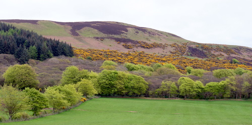 View from Hill View, Shiskine, Isle of Arran